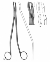 Seldl DBP Biopsy Forceps