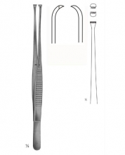 Nelson Lung Dissecting Forceps