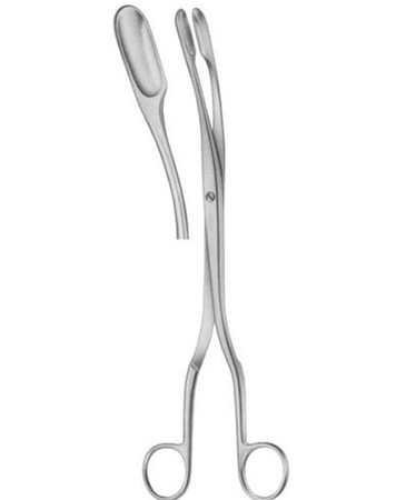 Winter Ovum Scalp Flap Forcep