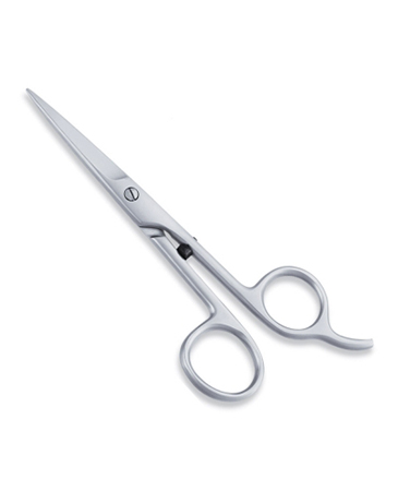 Economy Hair Scissor