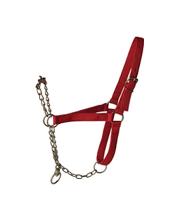 Horse Halter