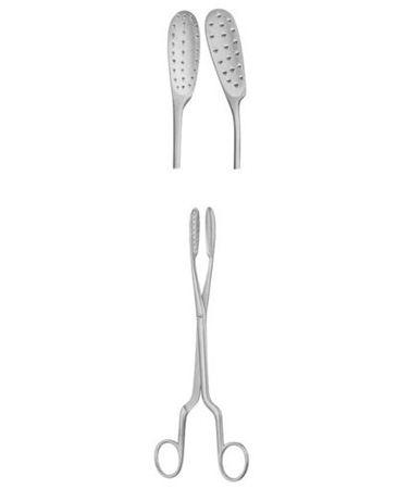 Lewkowitz Ovum Scalp Flap Forcep