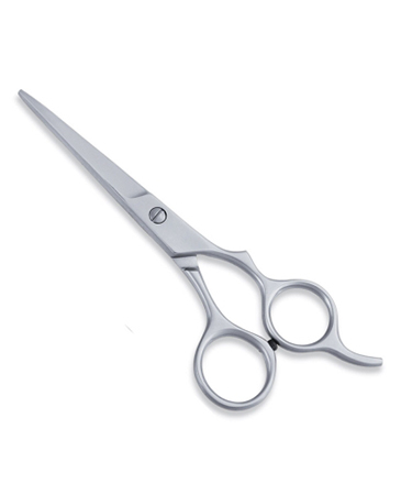 Economy Hair Scissor