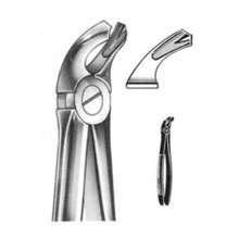 Dental Forceps English Pattern Fig#21