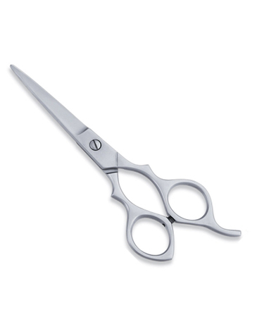 Economy Hair Scissor