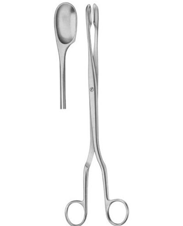 Winter Ovum Scalp Flap Forcep