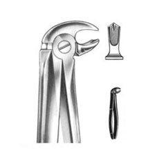 Dental Forceps English Pattern Fig#22