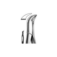 Dental Forceps American Pattern Fig# 23