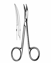 Delicate Scissors