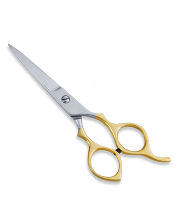 Economy Hair Scissor