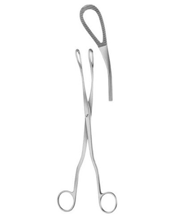 Mc Clintock Ovum Scalp Flap Forcep