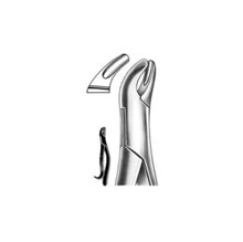 Dental Forceps American Pattern Fig# 24