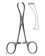 Lorna Non Perforating