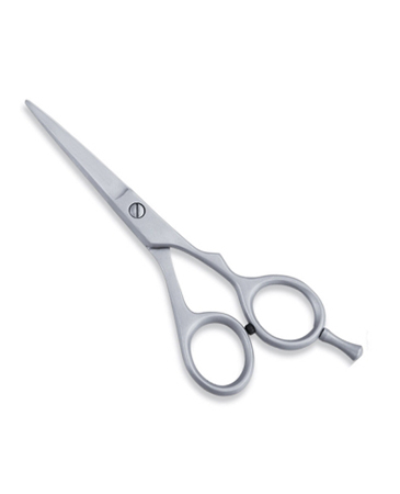 Economy Hair Scissors