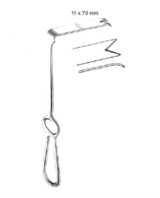 Obwegeser