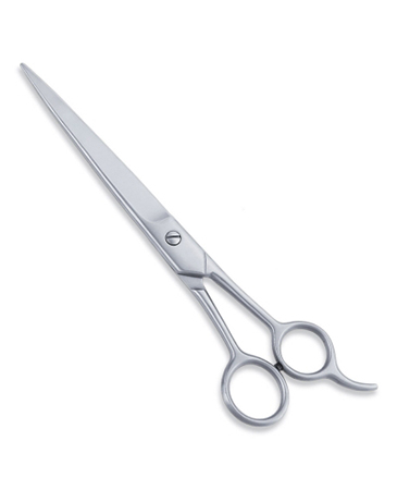 Economy Hair Scissor