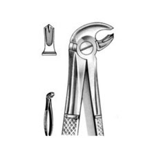 Dental Forceps English Pattern Fig#22S