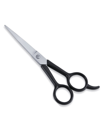 Economy Hair Scissor