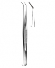 Delicate Dissecting Forceps