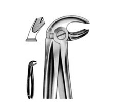 Dental Forceps English Pattern Fig#23