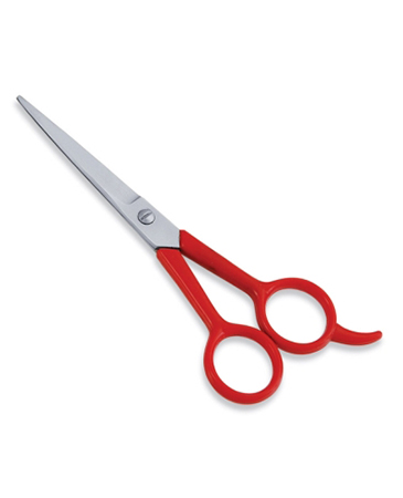 Economy Hair Scissor