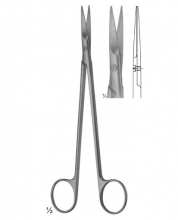 Dissecting Scissors