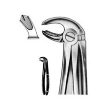 Dental Forceps English Pattern Fig#24