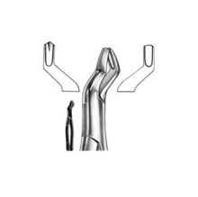 Dental Forceps American Pattern Fig# 53L