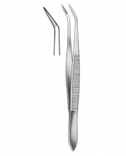 Delicate Forceps