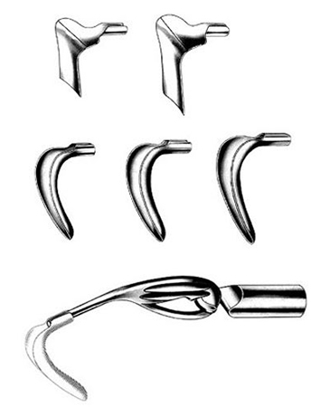 Scherback Vaginal Specula Set