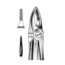 Dental Forceps English Pattern Fig#29