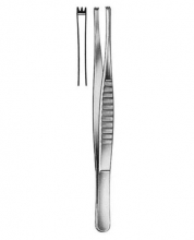 Delicate Forceps Fox