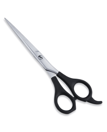 Economy Hair Scissor