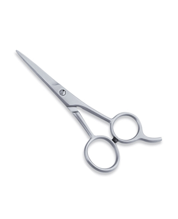 Economy Hair Scissor