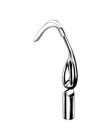 Scherback Vaginal Specula (Handle)