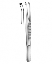 Delicate Forceps Fox