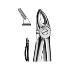 Dental Forceps English Pattern Fig#30