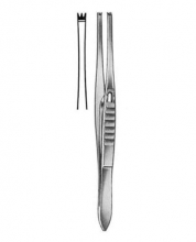 Delicate Forceps Fox