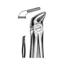 Dental Forceps English Pattern Fig#31