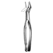 Dental Forceps American Pattern Fig# 65