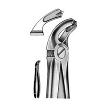 Dental Forceps English Pattern Fig#32