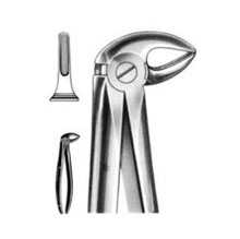 Dental Forceps English Pattern Fig#33