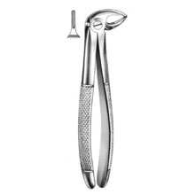 Dental Forceps English Pattern Fig#33A