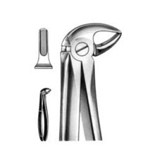 Dental Forceps English Pattern Fig#33B