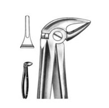 Dental Forceps English Pattern Fig#33L
