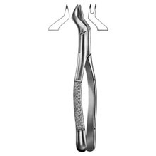 Dental Forceps American Pattern Fig# 88R