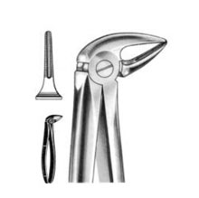 Dental Forceps English Pattern Fig#33M