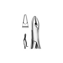 Dental Forceps American Pattern Fig# 99A
