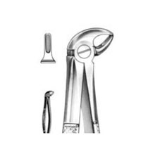Dental Forceps English Pattern Fig#33S