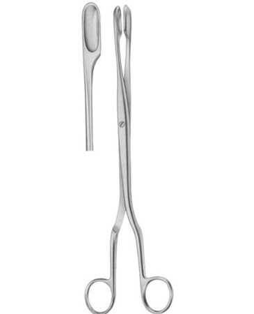 Winter Ovum Scalp Flap Forcep